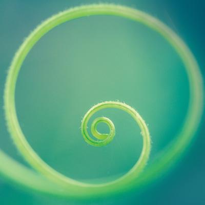 Caring creates a referral circle